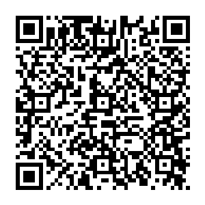 他们所代表的是九十三名成员在全世界五十五个国家超过两亿订阅者对美国电影的态度二维码生成