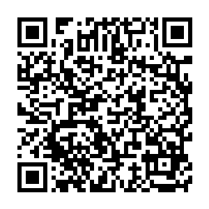 他们所在的地方位于兽之大域和暴乱大域的交界地带――罗菩山脉二维码生成