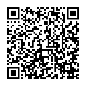 他们所有人心中都已经完全放弃了在钨合金矿脉上分一杯羹的想法二维码生成