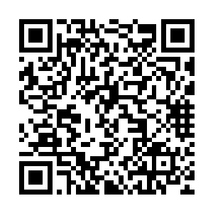 他们手下的那些人现在已经变成了他们在进阶神皇道理上的障碍二维码生成