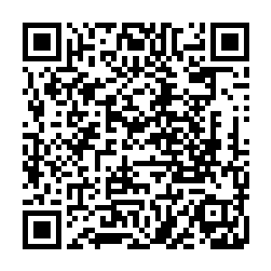 他们才在复活赛中打败其他三组因比赛失意就没有再继续练习的三支队伍二维码生成