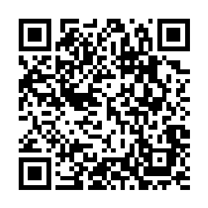 他们才敢来到码头这里的……此刻也是彻底相信秦方的话了二维码生成