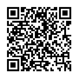 他们才更加能够体会到这首诗中那带着淡淡的忧伤和无奈二维码生成