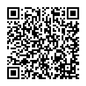 他们把这种情绪统统转移到张东城这冉冉升起的电影界新星的身上二维码生成