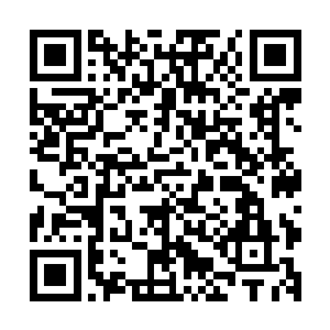 他们担心被我看穿他们即将行使的手段――他们知道打不过我二维码生成