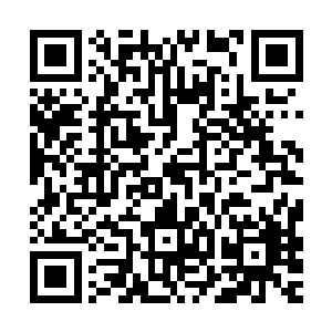 他们拿走了为数不多的食物……甚至连一柄小刀子都没有留给他二维码生成