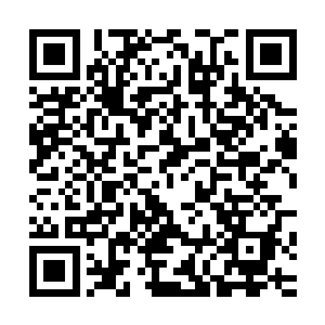 他们攒一个月下来的贡献币已经足够他们去小小的消费一下了二维码生成