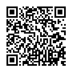 他们无比闪耀的光芒将新世纪的钢琴演奏家衬托的格外平庸黯淡二维码生成