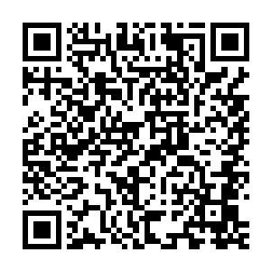 他们无法想象这个神葬修罗到底强大到什么程度……但有一点可以肯定二维码生成