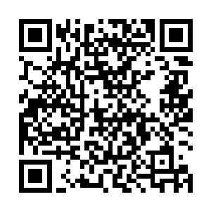 他们既不会蠢到完全相信历史是由胜利者书写的这种话二维码生成