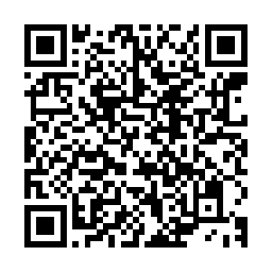 他们早就熟悉的不能再熟悉了……这是祷言师的一种特殊的绝技二维码生成