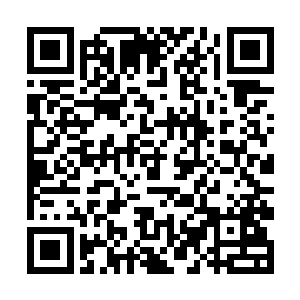 他们明明是个在实力排行榜上颇有分量的一线工作室二维码生成