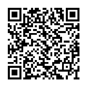 他们是东南区域最大势力华夏宗的宗主和副宗主二维码生成