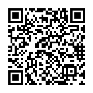 他们是如何让血色林区的高手世世代代的都如此尊重他们的二维码生成