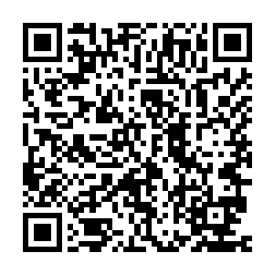 他们是得有多愚蠢才会对羽果和小豹兄弟俩一视同仁的爱护养育着二维码生成