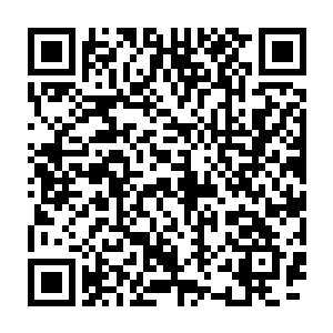 他们是无法接受一个名不经传的人突然击败秋风林区域内的第一天才的二维码生成