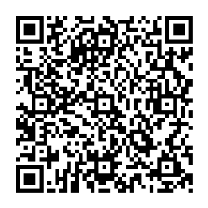 他们是稳赚不赔――因为这些天真的投资人签署的合同里满是福克斯开出的这种粗浅陷阱二维码生成