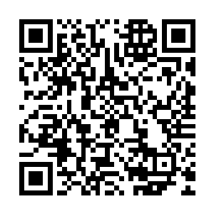 他们是靠着强硬的厚台和深厚的家境才快速聚集今天的财富地位二维码生成