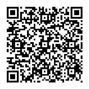 他们显然都十分的清楚无论是龙傲天还是傀儡宗都根本就不是他们能够得罪的起的二维码生成