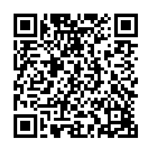 他们最后还尊称我们这些他们曾经看不起的部落族民为主了二维码生成