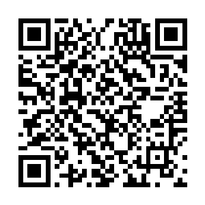 他们最多剩下一部分留给后面培养家主的时候使用的了二维码生成