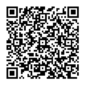 他们最有可能成为桑巴国的新国王 所以 他们也是今天的袭击事件的最大的嫌疑犯二维码生成