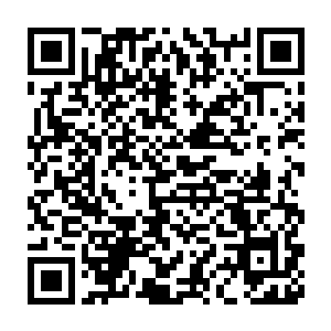 他们本身能以家族势力可以和两大宗门比较就足以证明他们不简单二维码生成