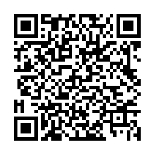 他们根本就没有义务将自己的经验传给下一代演员二维码生成