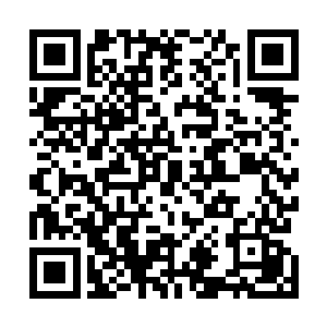 他们楚家也是自然派出了族内最为优秀的炼丹师参加比试二维码生成
