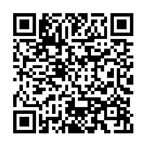 他们正在凝聚的攻击也全都被硬生生的憋了回去二维码生成