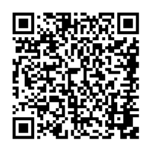 他们此刻不过是在陨落了不知道多少年的虚空巨兽留下的一节脊椎骨内探索二维码生成