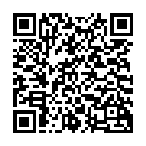 他们此时就已经在马拉卡纳的入口处正前方不到五十米的地方二维码生成