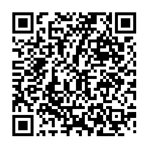 他们此时很清楚的感觉到杨戬身上的能量波动自始至终都没有超过神王境界二维码生成