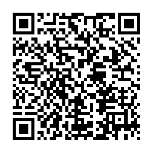 他们每一个人都很确定……自己此生之中从未见过眼前的这位女侠二维码生成