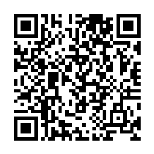 他们每一个学校都是全部学生或大部分学生同在一个擂台二维码生成