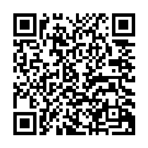 他们每隔一段曰子都会联合施展秘法在全大陆寻找圣器的气息二维码生成