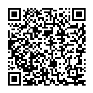 他们没想到这次的主事人居然会是这一号林安市出了名的纨绔公子哥二维码生成