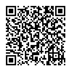 他们没有一个人知道为什么会有这么多的流浪狗聚集到芝安一中的校门口二维码生成