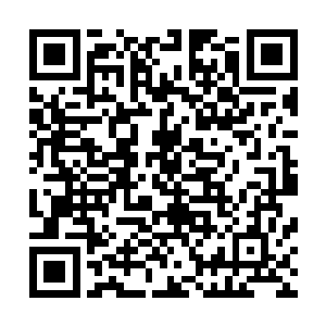 他们派出去的谈判代表已经被里面的匪老二用子弹赶了出来二维码生成