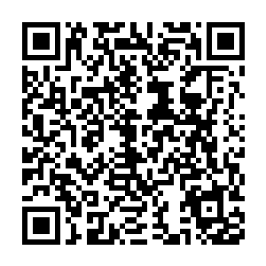 他们清楚倒不能再清楚――之前有对情侣在校园里秀恩爱挡了血妃的路二维码生成