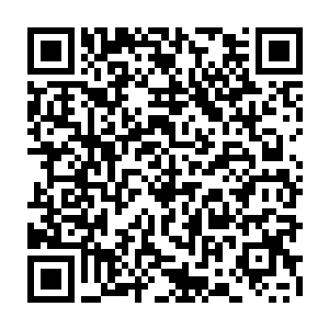 他们灵巧的双手可以将捡到的绿汁菜叶子收集起来拼凑出一颗完美的绿汁菜二维码生成