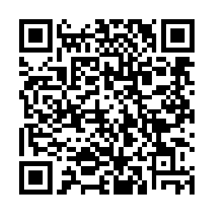 他们灵界就相当于下界……他们或许会关心谁家当皇帝二维码生成