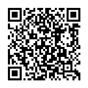 他们犯不着跟个小人似的在背后说我坏话……唯一得罪过的家族二维码生成