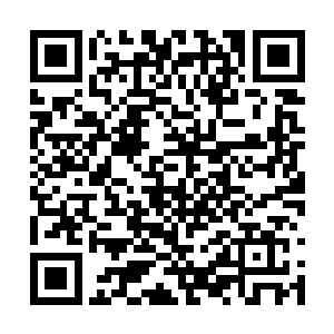 他们现种檀身边有许多年轻文官坐在一张张几案前二维码生成