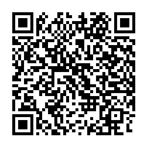 他们甚至已经从小道消息中打听到凤羽珩有离开京城去往封地的打算二维码生成