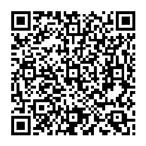 他们甚至能够清楚地感应到原本灵力匮乏的凡人界在这一刻被抽干了为数不多的灵气二维码生成