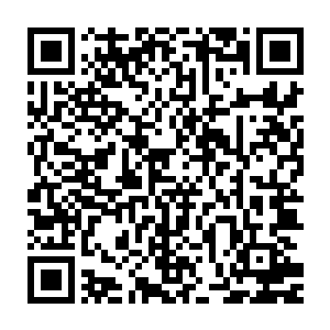 他们甚至连一句提醒的话都没有说――正气门和金山寺的人在沈凡面前二维码生成