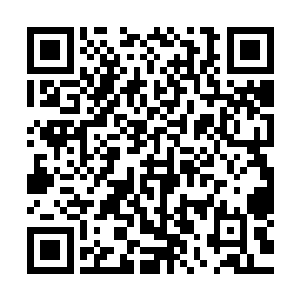 他们甚至迫不及待开始构思雨果未来在神经病院的悲惨生活了二维码生成