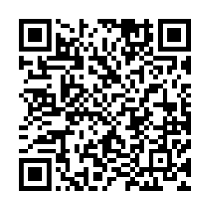 他们画风一转就停止这个计划了……只要正常播放下去……二维码生成