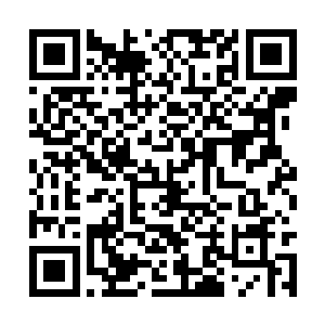 他们的举人和秀才几乎比长乐云家的猎妖队多一倍二维码生成